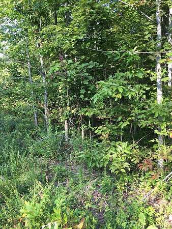 6 Acres of Residential Land for Sale in Wilder, Tennessee