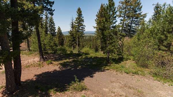 4.48 Acres of Residential Land for Sale in Cascade, Idaho