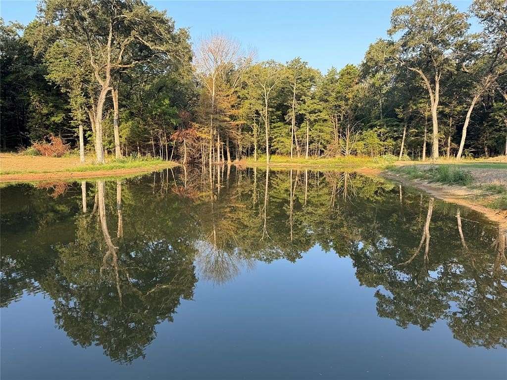 27.6 Acres of Land for Sale in Lone Oak, Texas