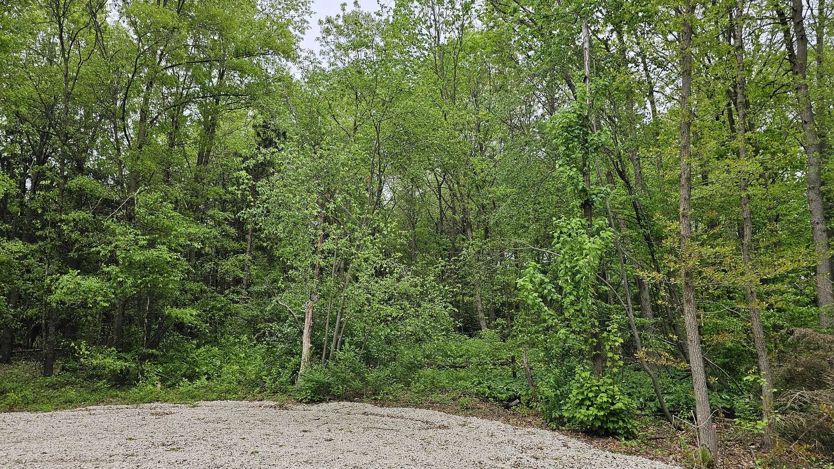 2.29 Acres of Residential Land for Sale in West Olive, Michigan