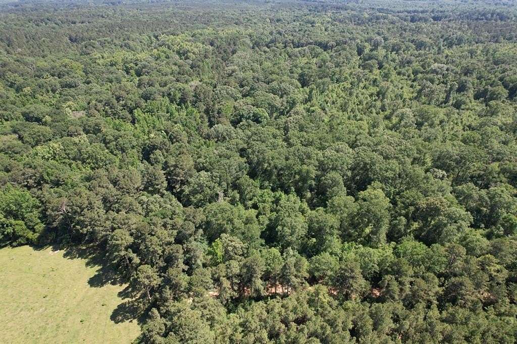 15.1 Acres of Recreational Land & Farm for Sale in Timpson, Texas