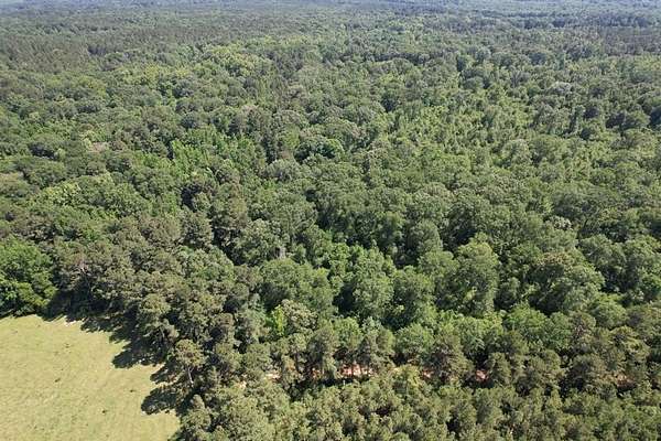 15.1 Acres of Recreational Land & Farm for Sale in Timpson, Texas