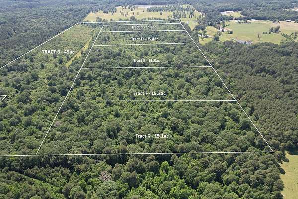 15.1 Acres of Recreational Land for Sale in Timpson, Texas