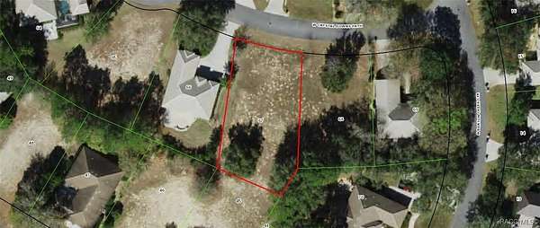 0.25 Acres of Residential Land for Sale in Lecanto, Florida