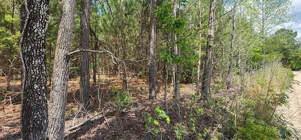15.5 Acres of Land for Sale in Branchville, South Carolina