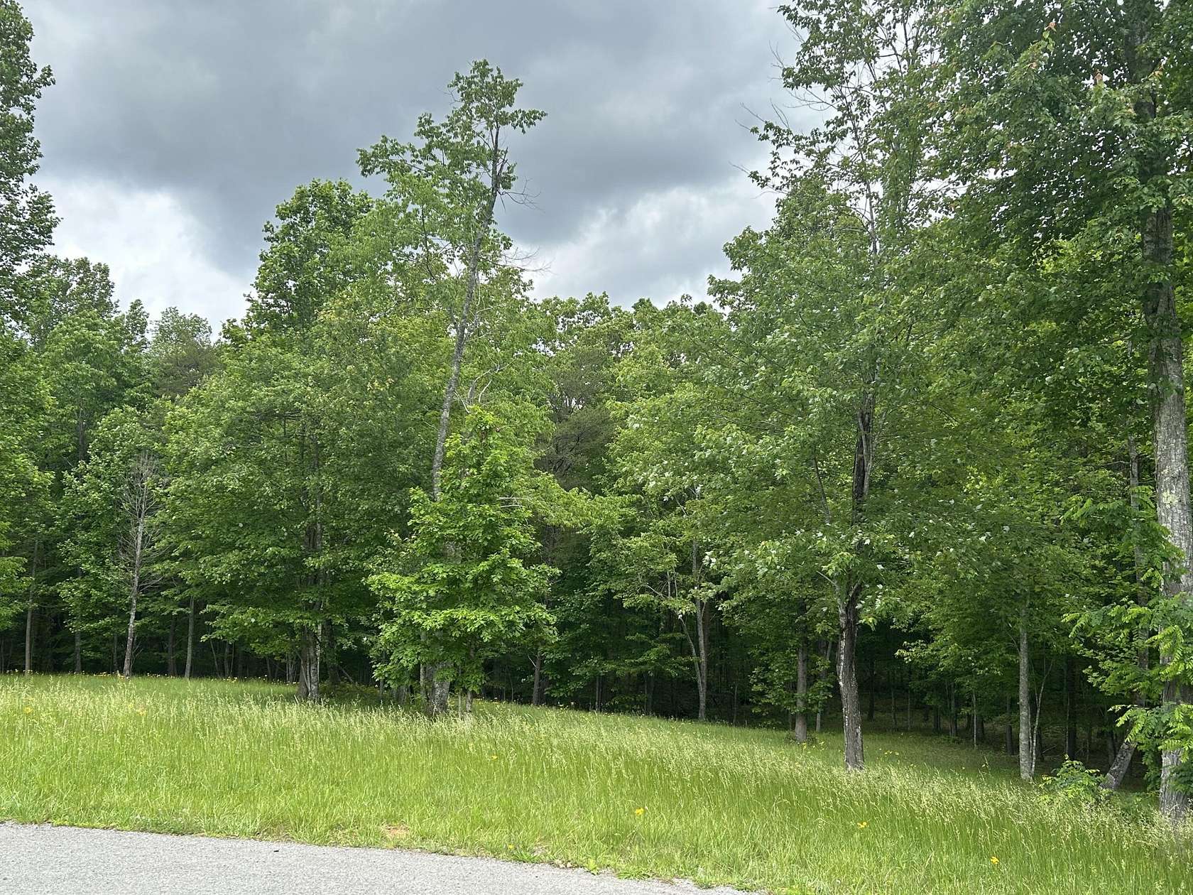 1.62 Acres of Residential Land for Sale in Jasper, Tennessee