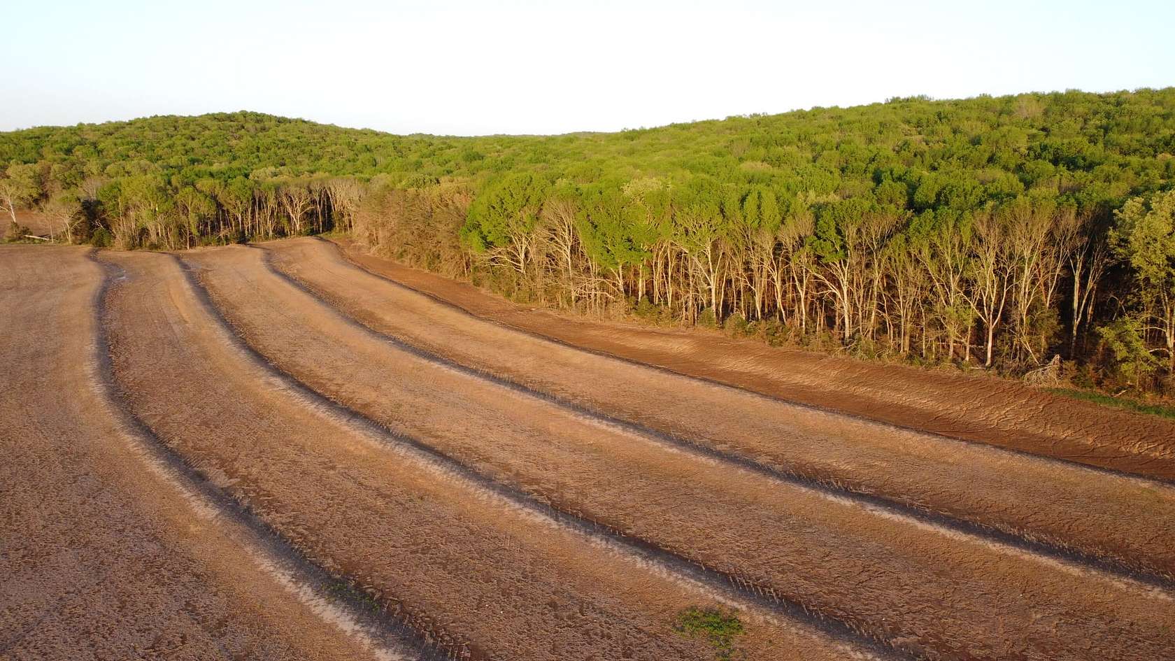 40 Acres of Recreational Land & Farm for Sale in Moulton, Alabama