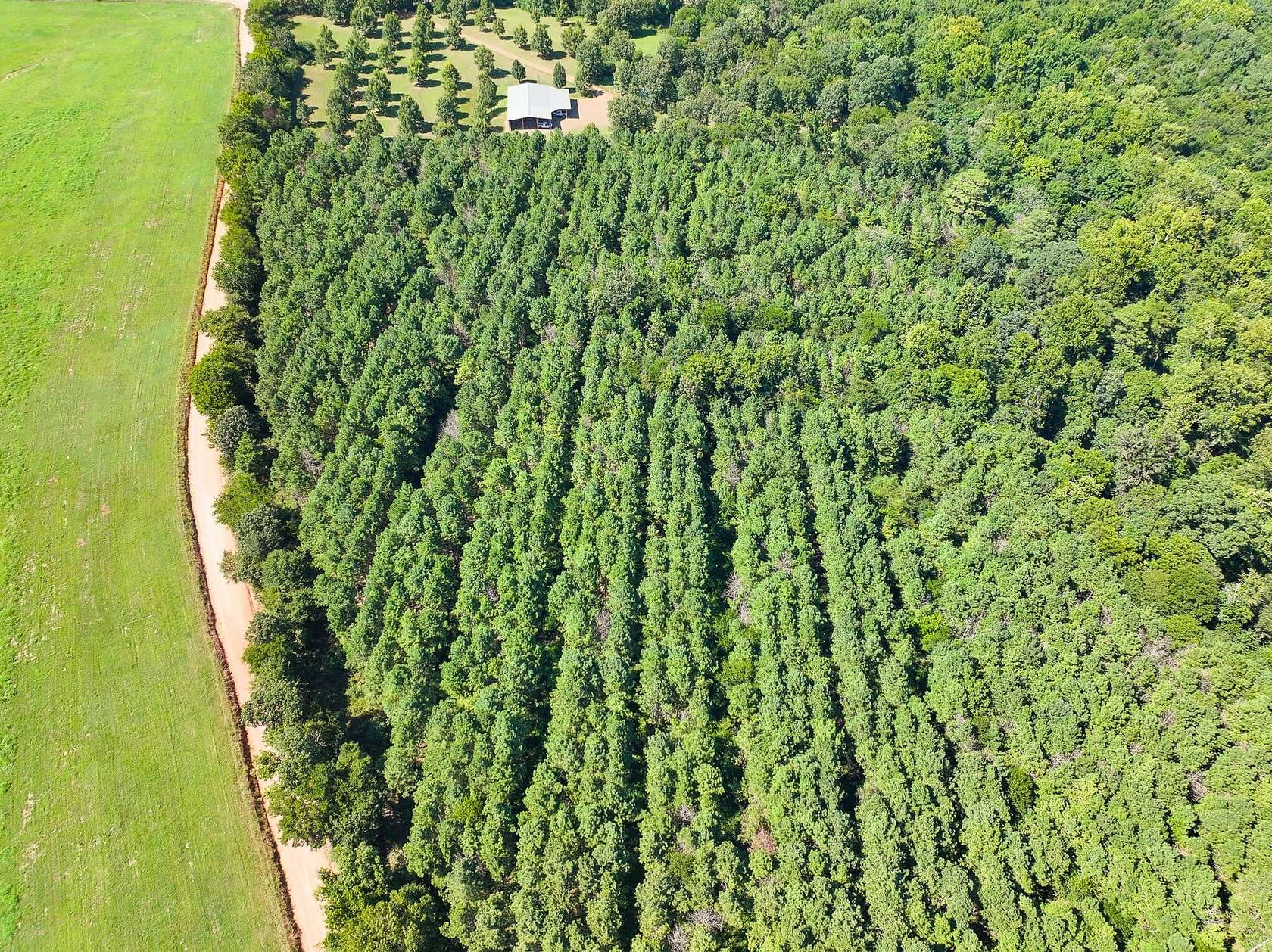 52 Acres of Recreational Land for Sale in Horatio, Arkansas