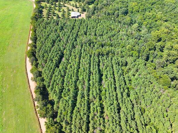 52 Acres of Recreational Land for Sale in Horatio, Arkansas