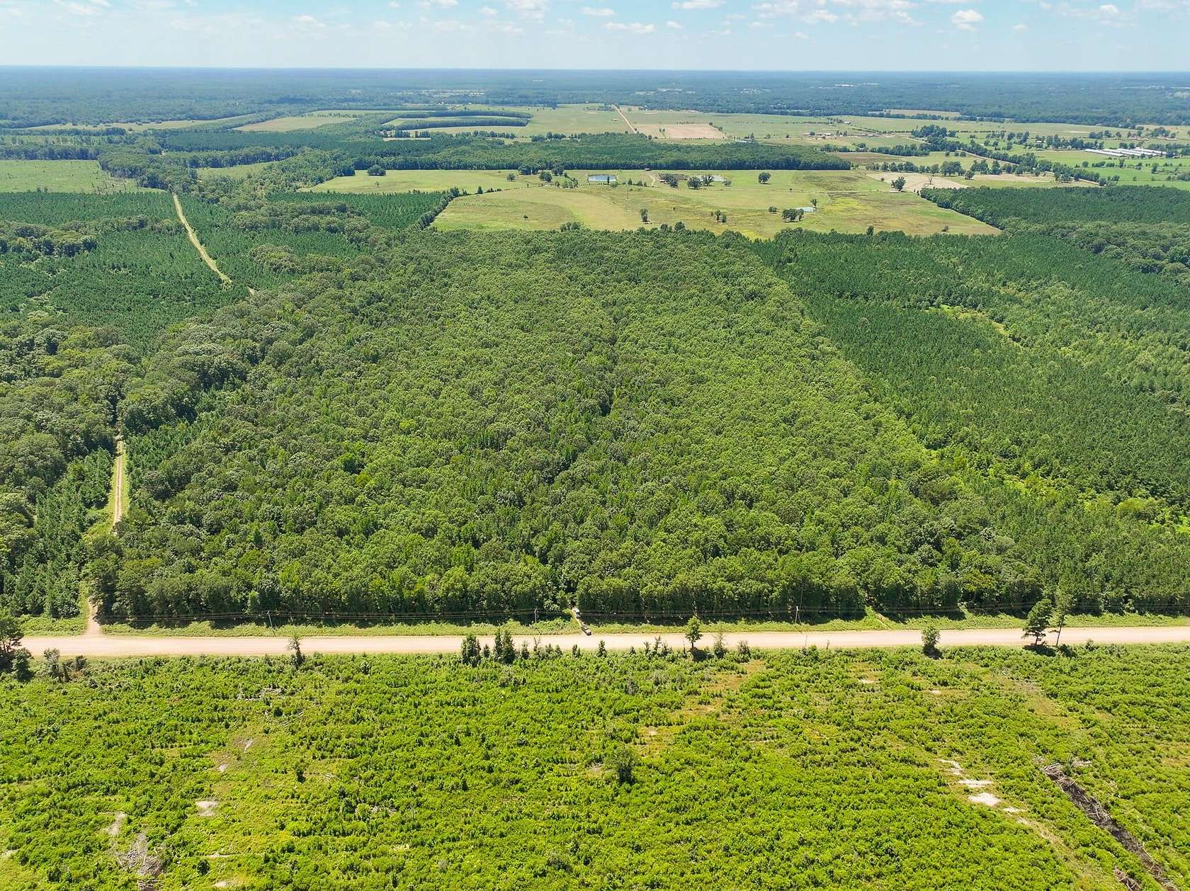 79 Acres of Recreational Land for Sale in De Queen, Arkansas