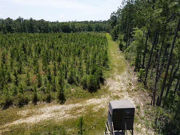 155 Acres of Recreational Land for Sale in Robertsdale, Alabama