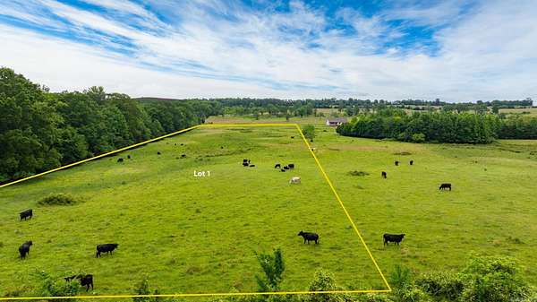 10.6 Acres of Land for Sale in Greenbrier, Arkansas