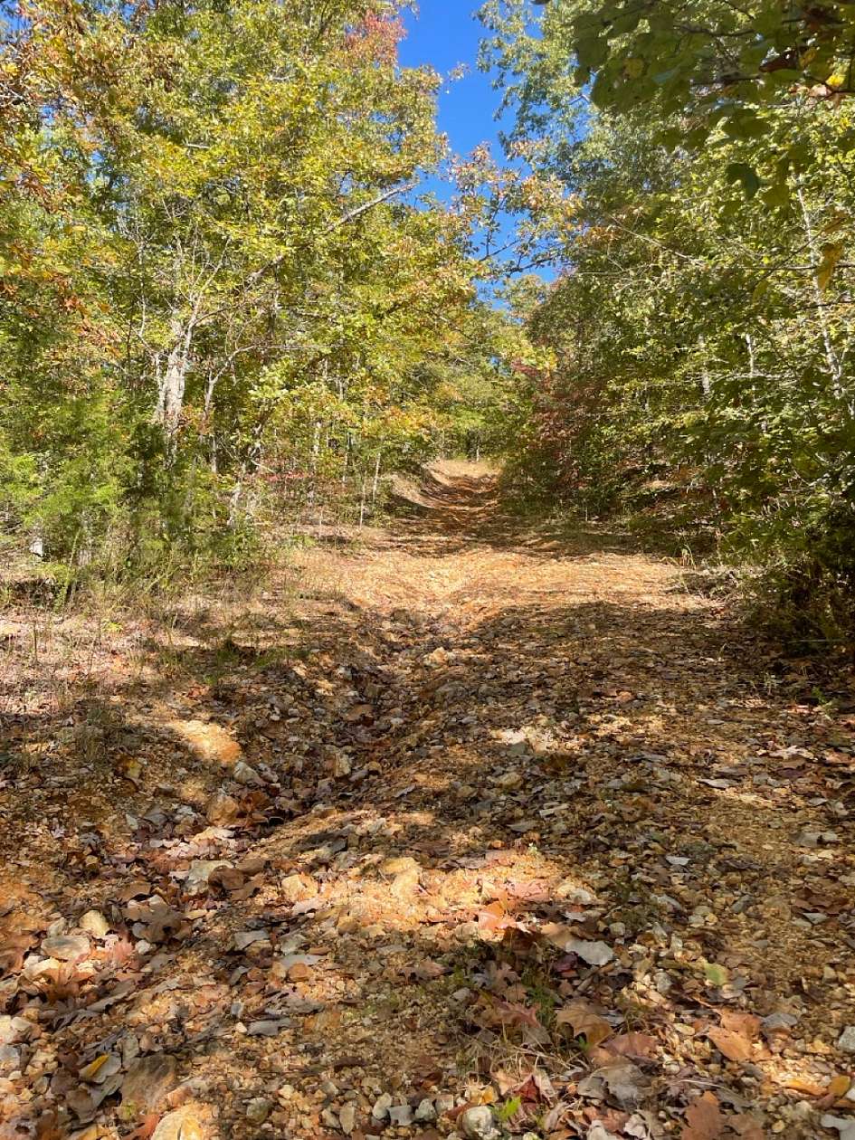 0.37 Acres of Residential Land for Sale in Williford, Arkansas