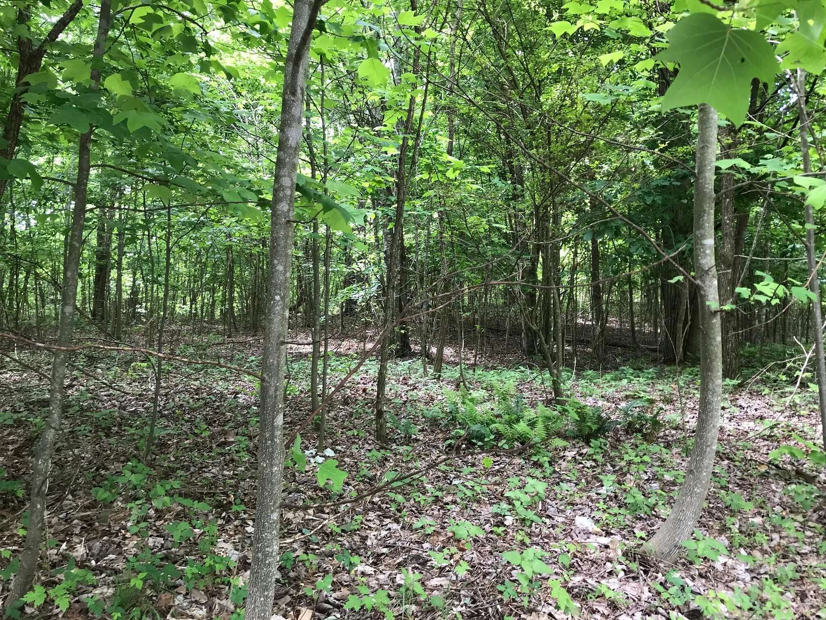 3 Acres of Residential Land for Sale in Dunlap, Tennessee