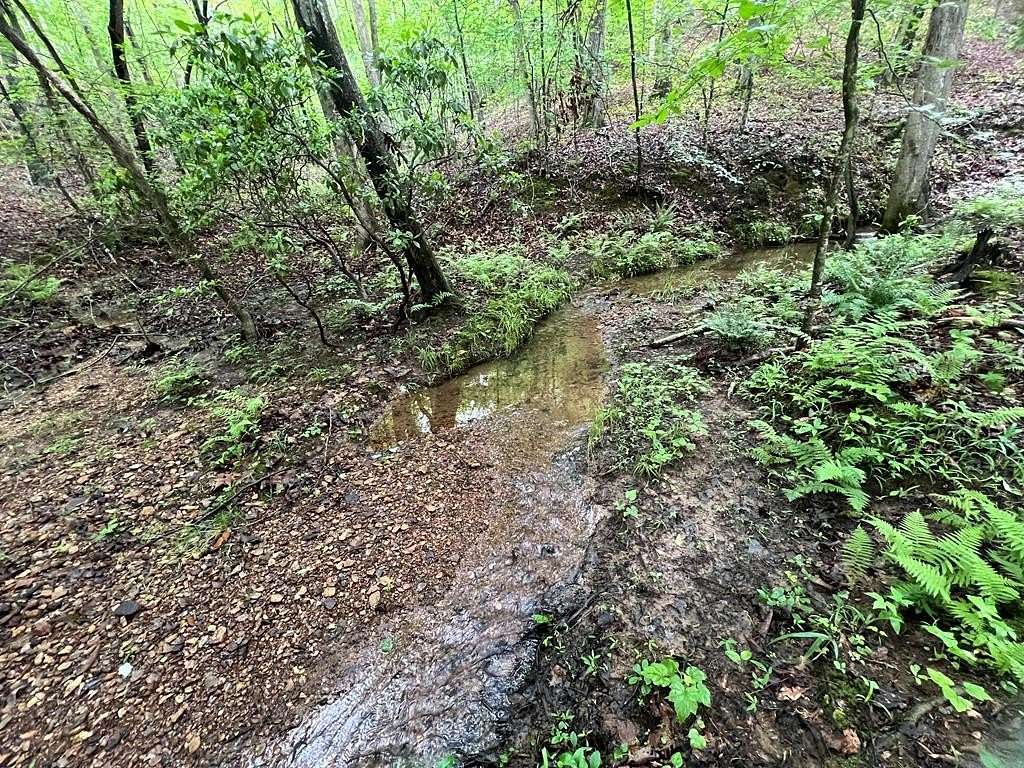 22.5 Acres of Land for Sale in Waleska, Georgia