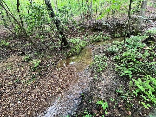 22.5 Acres of Land for Sale in Waleska, Georgia