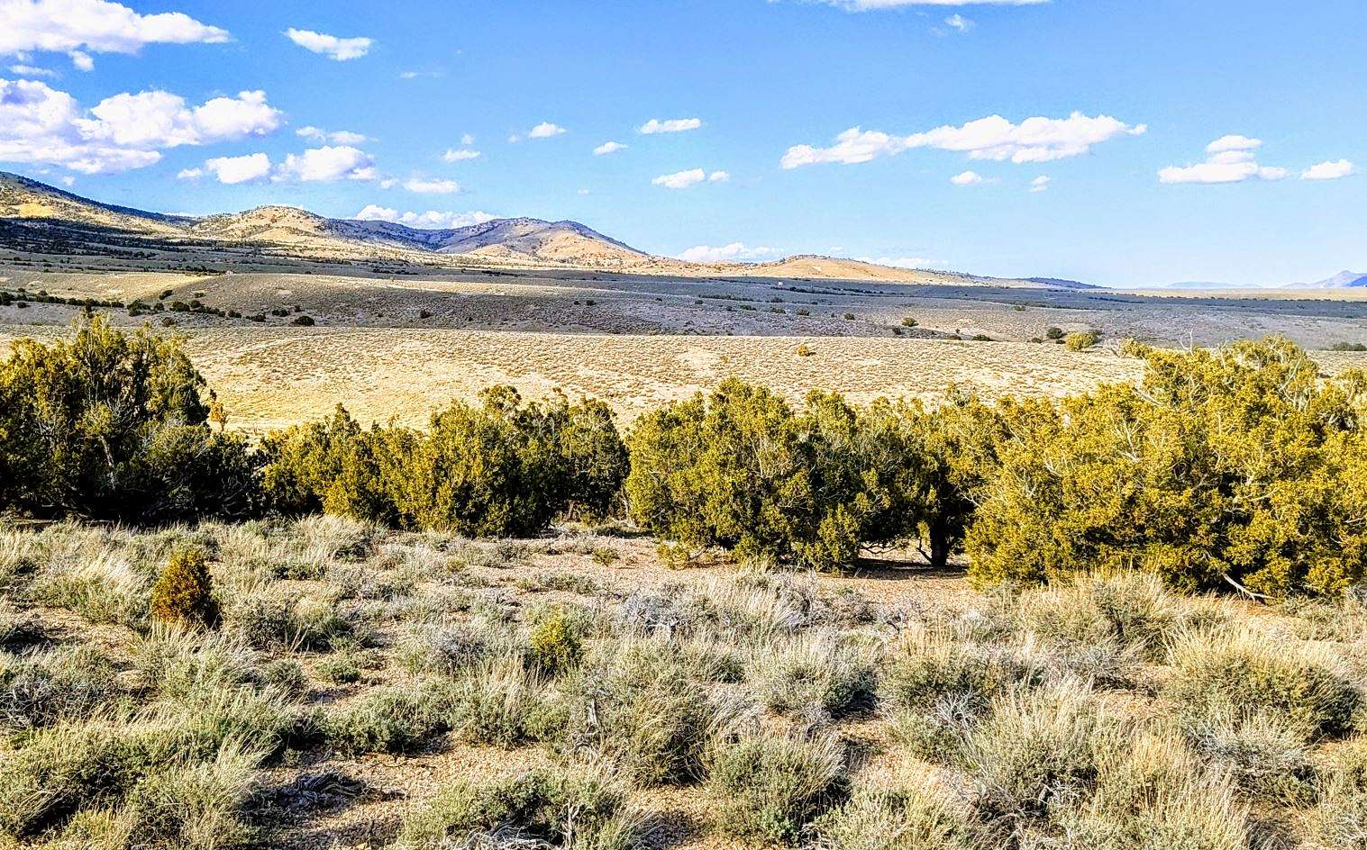 Affordable Land Property