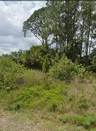 0.5 Acres of Residential Land for Sale in Lehigh Acres, Florida
