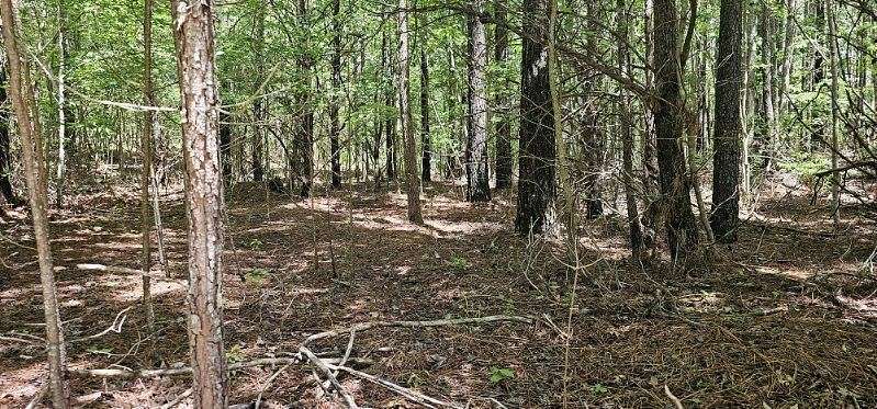 2.1 Acres of Land for Sale in Spencer, Tennessee