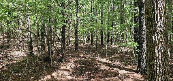 1.76 Acres of Land for Sale in Spencer, Tennessee