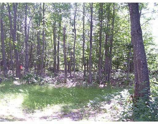 3.85 Acres of Land for Sale in Dover-Foxcroft, Maine