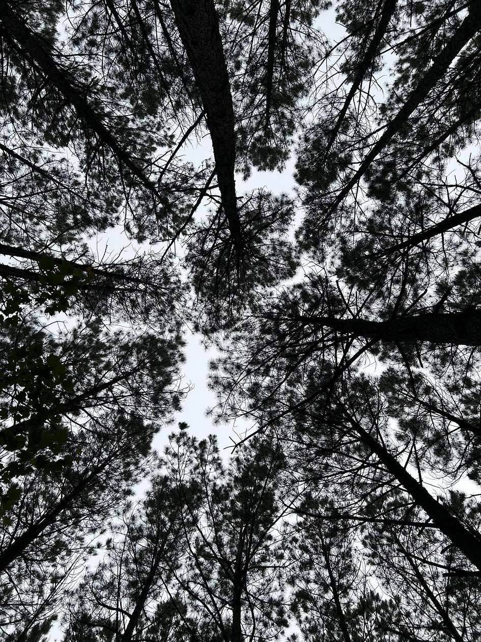 0.8 Acres of Residential Land for Sale in Jasper, Tennessee