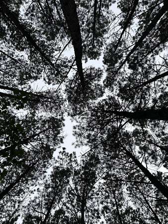 0.8 Acres of Residential Land for Sale in Jasper, Tennessee