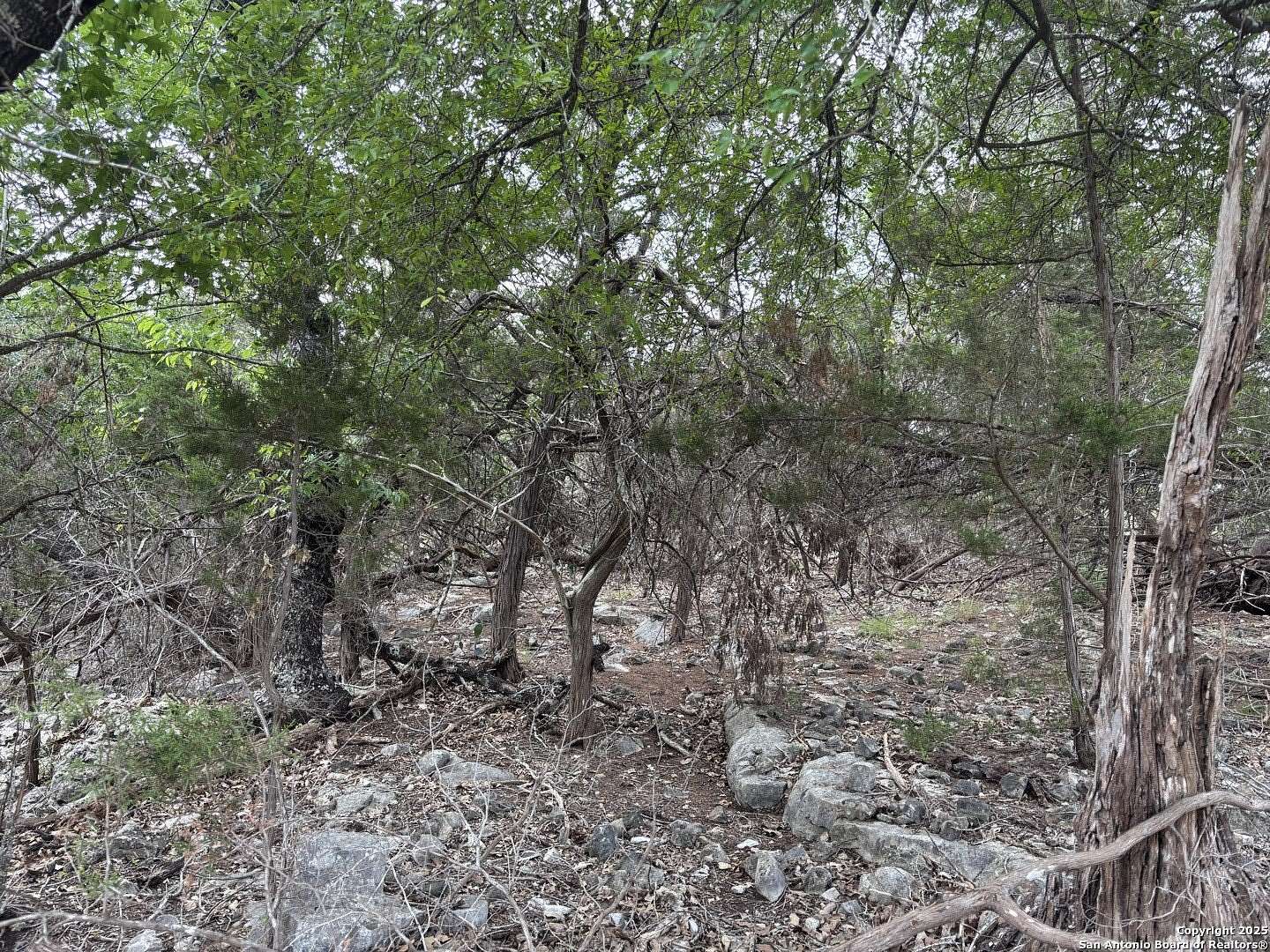 1.37 Acres of Residential Land for Sale in New Braunfels, Texas