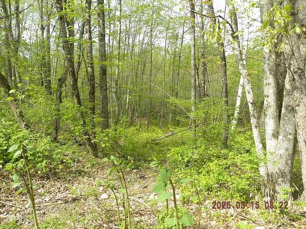 7.45 Acres of Residential Land for Sale in Alfred, Maine