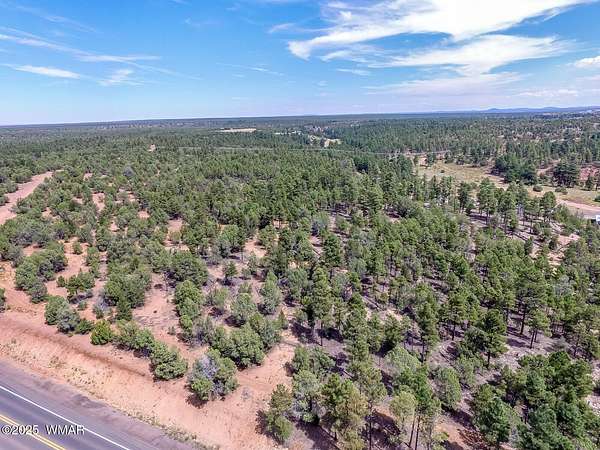 22.5 Acres of Land for Sale in Show Low, Arizona