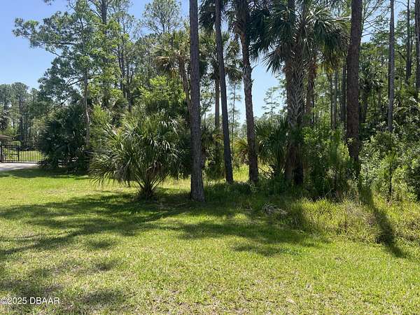 5 Acres of Land for Sale in Ormond Beach, Florida