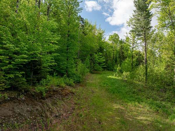 29.2 Acres of Recreational & Residential Land for Sale in Waterbury, Vermont