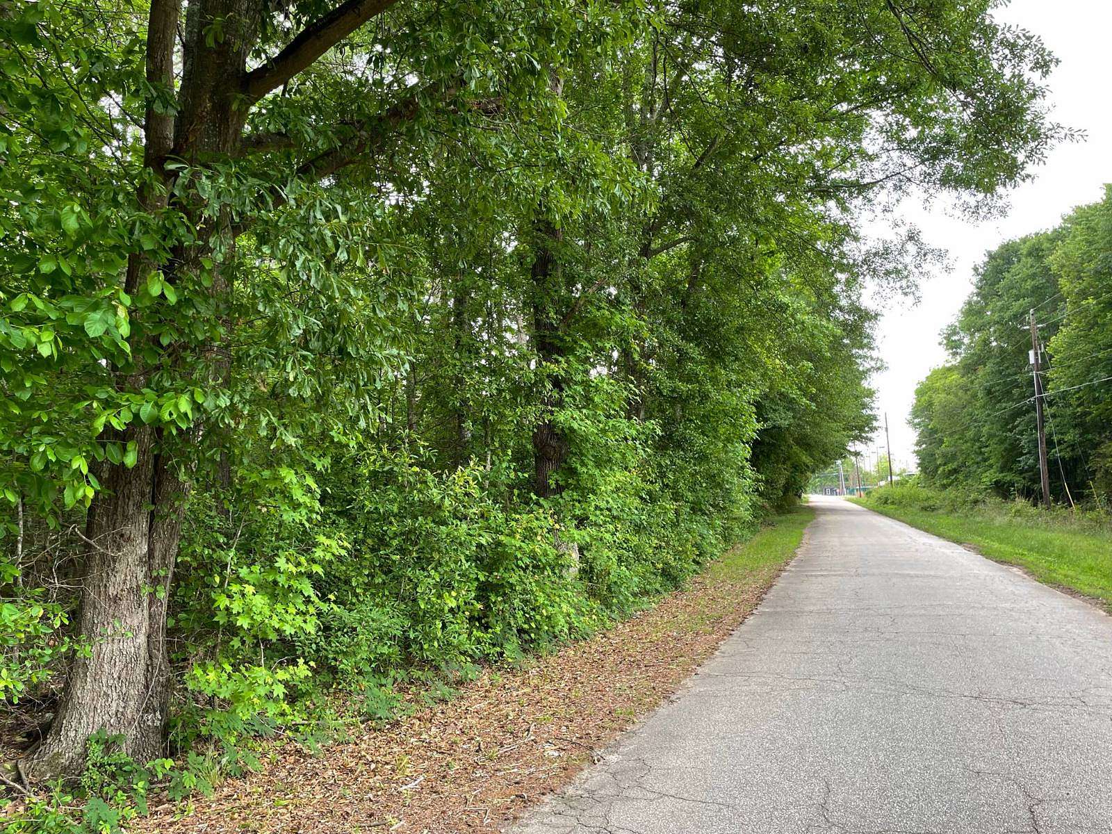 25 Acres of Mixed-Use Land for Sale in Belton, South Carolina