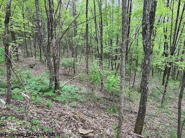 12.6 Acres of Land for Sale in Elkins, West Virginia