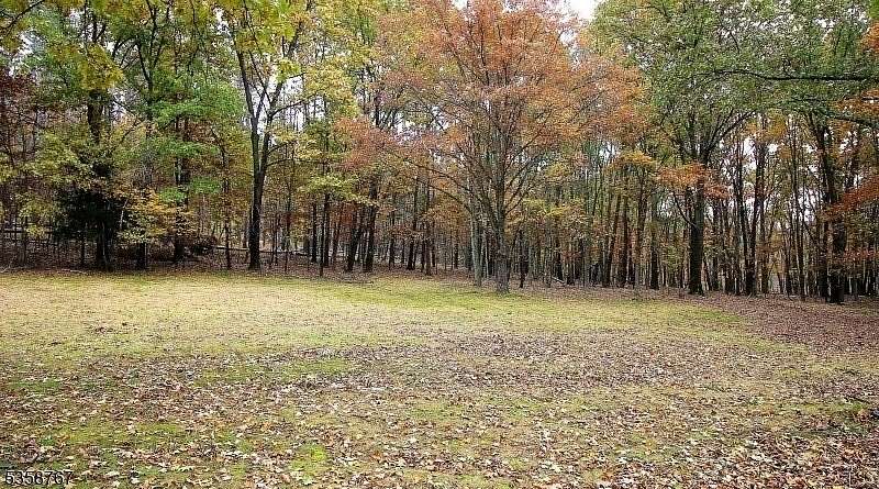 75.4 Acres of Land for Sale in Wantage Township, New Jersey