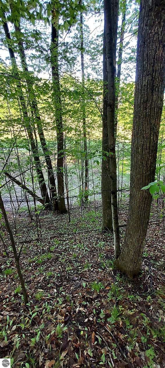 0.5 Acres of Residential Land for Sale in Bellaire, Michigan