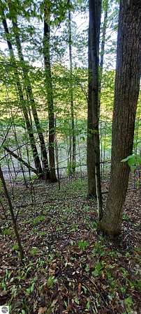 0.5 Acres of Residential Land for Sale in Bellaire, Michigan