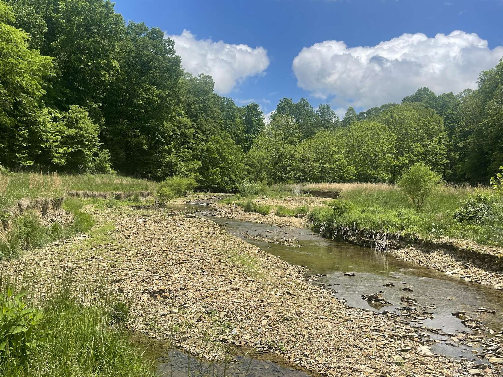 60.9 Acres of Agricultural Land for Sale in Russell Springs, Kentucky