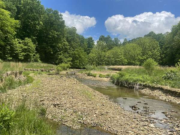 60.9 Acres of Agricultural Land for Sale in Russell Springs, Kentucky