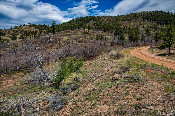 27.9 Acres of Recreational & Residential Land for Sale in Cotopaxi, Colorado