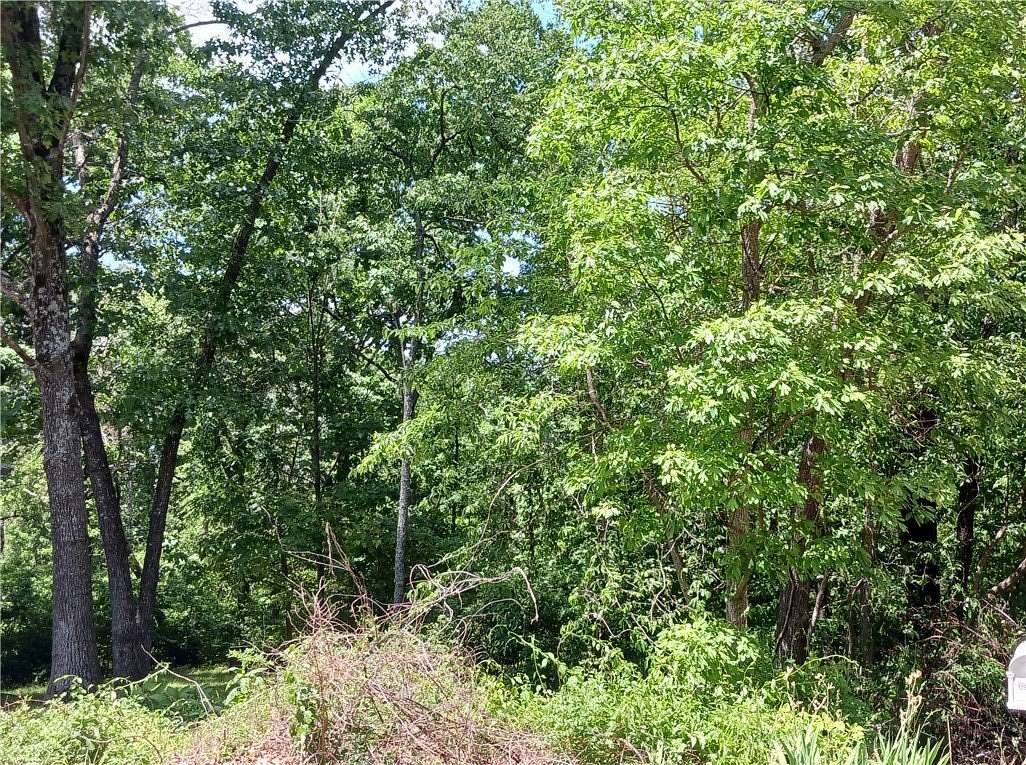 0.35 Acres of Residential Land for Sale in Bella Vista, Arkansas