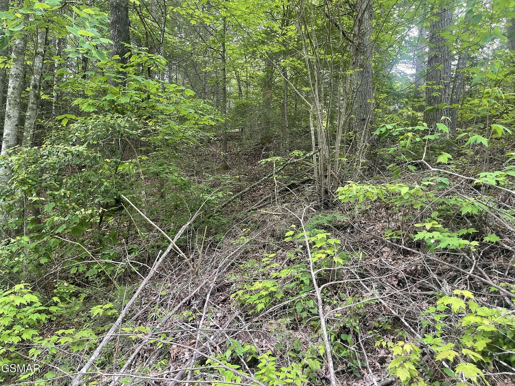 0.83 Acres of Residential Land for Sale in Cosby, Tennessee