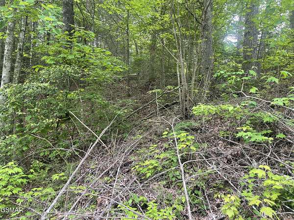 0.83 Acres of Residential Land for Sale in Cosby, Tennessee