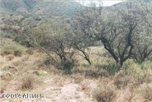 37.5 Acres of Land for Sale in Rio Rico, Arizona