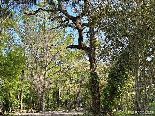 0.61 Acres of Residential Land for Sale in Homosassa, Florida