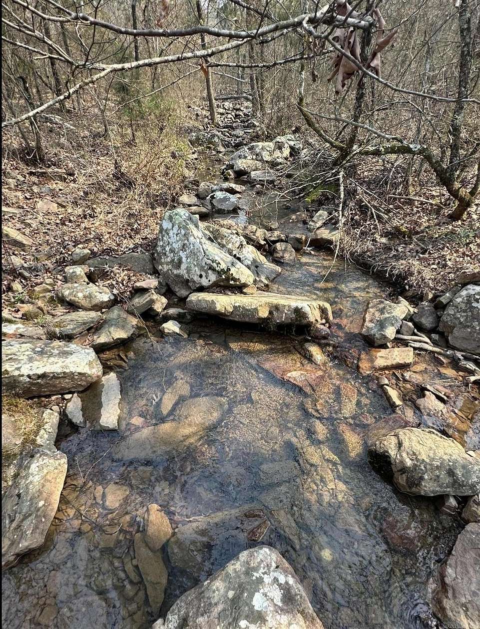 67.5 Acres of Recreational Land for Sale in Waldron, Arkansas