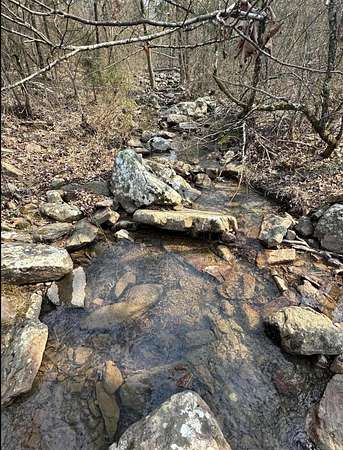 67.5 Acres of Recreational Land for Sale in Waldron, Arkansas