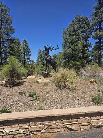 6 Acres of Residential Land for Sale in Happy Jack, Arizona