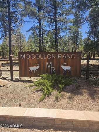 6 Acres of Residential Land for Sale in Happy Jack, Arizona