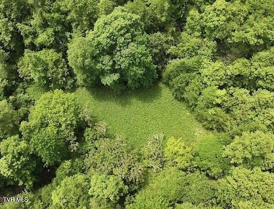 160 Acres of Recreational & Residential Land for Sale in Castlewood, Virginia